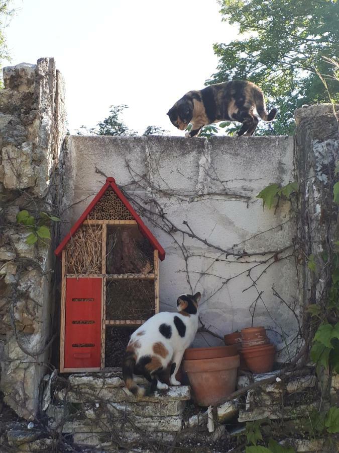 Au Chat Perche Mareil-sur-Mauldre Buitenkant foto